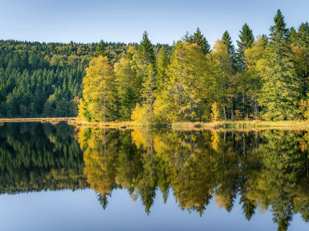 photo du lac de lispach dans les vosges